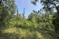 Land for sale in Leon County, Florida