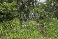 Undeveloped Land for sale in Hawaii County, Hawaii