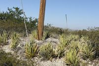 Land for sale in El Paso County, Texas