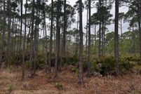 Homesite for sale in Wakulla County, Florida