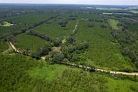 Land for sale in Madison County, Florida