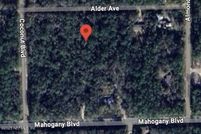 Undeveloped Land for sale in Flagler County, Florida