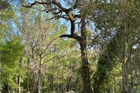 Land for sale in Citrus County, Florida