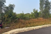 Undeveloped Land for sale in Lee County, Florida