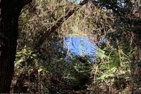 Farm and Ranch for sale in Putnam County, Florida