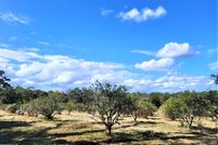 Land for sale in Hernando County, Florida