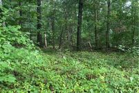 Undeveloped Land for sale in Pickens County, South Carolina