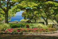 Land for sale in Hawaii County, Hawaii