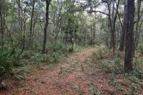 Land for sale in Levy County, Florida