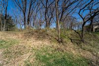 Undeveloped Land for sale in Guthrie County, Iowa