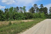Undeveloped Land for sale in Lunenburg County, Virginia