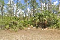 Land for sale in Lee County, Florida
