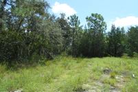 Undeveloped Land for sale in Hernando County, Florida