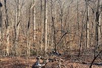 Land for sale in Oconee County, South Carolina