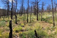 Land for sale in Costilla County, Colorado