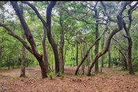 Land for sale in Putnam County, Florida