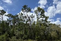 Timberland Property for sale in Hernando County, Florida