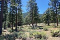 Undeveloped Land for sale in Douglas County, Nevada
