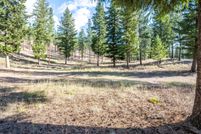 Undeveloped Land for sale in Missoula County, Montana