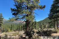 Land for sale in Douglas County, Nevada