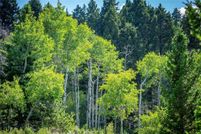 Land for sale in Park County, Montana
