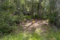 Undeveloped Land for sale in Alachua County, Florida