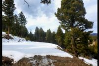 Timberland Property for sale in Silver Bow County, Montana