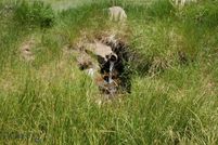 Land for sale in Madison County, Montana