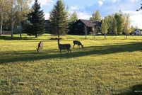 Undeveloped Land for sale in Gallatin County, Montana