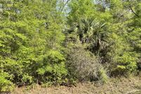 Undeveloped Land for sale in Levy County, Florida