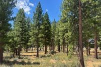 Homesite for sale in Douglas County, Nevada