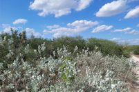 Land for sale in Live Oak County, Texas