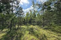Undeveloped Land for sale in Cheboygan County, Michigan