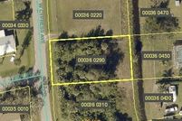 Undeveloped Land for sale in Lee County, Florida