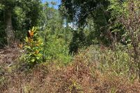 Homesite for sale in Madison County, Florida