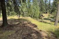 Farm and Ranch for sale in Sanders County, Montana