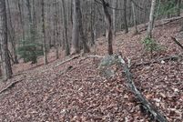 Undeveloped Land for sale in Rutherford County, North Carolina