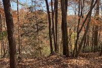Land for sale in Rutherford County, North Carolina