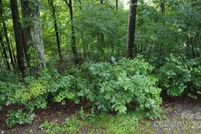 Land for sale in Polk County, North Carolina