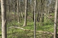 Undeveloped Land for sale in Geauga County, Ohio