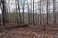 Undeveloped Land for sale in Rutherford County, North Carolina