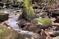 Land for sale in Jackson County, North Carolina