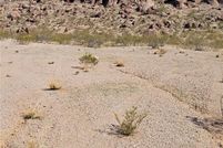 Land for sale in Mohave County, Arizona