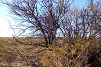 Land for sale in Hudspeth County, Texas