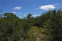 Land for sale in Bee County, Texas