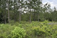 Land for sale in Calhoun County, Florida
