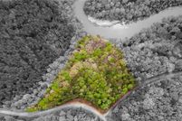 Land for sale in Lee County, Alabama