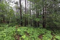 Undeveloped Land for sale in Cheboygan County, Michigan