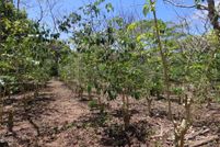 Land for sale in Hawaii County, Hawaii