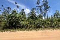 Undeveloped Land for sale in Jackson County, Florida